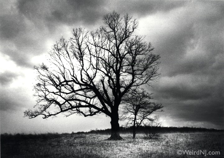 The Deserted Village and Enchanted Forest of the Watchung Reservation