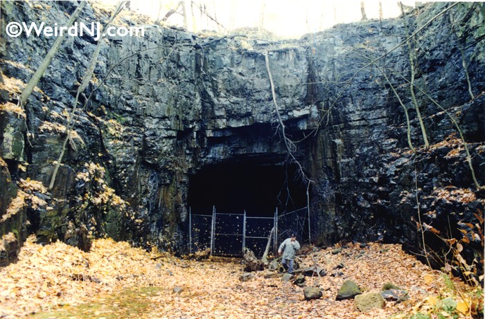 Dark Tales From Inside the Edgewater-Fairview Tunnel