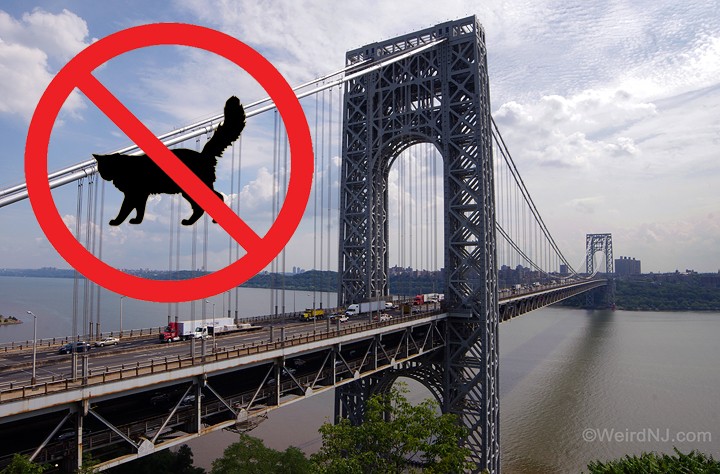 Can Little Cats Feet Bring Down the Mighty GWB?