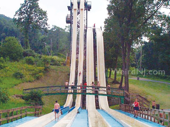 Blood Sport Revisiting Traction Er Action Park Weird Nj