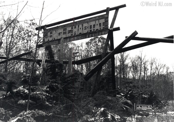 View Spooky Abandoned Places In Nj Pics