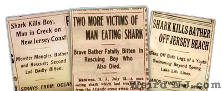 The Matawan Man-Eater: The Real-Life Jersey “Jaws”