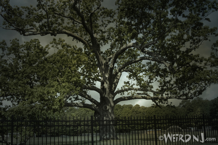 The Deserted Village and Enchanted Forest of the Watchung Reservation