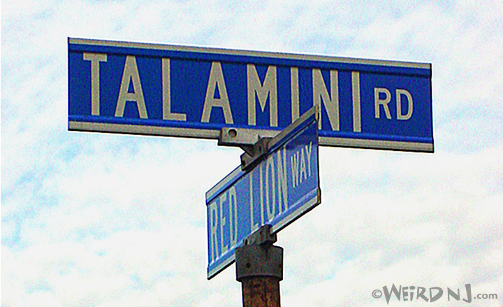 The Moaning of Talamini Road