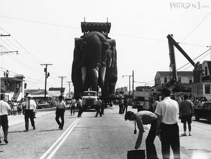 The History of Lucy, The World's Greatest Elephant 