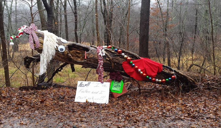 Jefferson Christmas Tree Says “I’ve Fallen!”