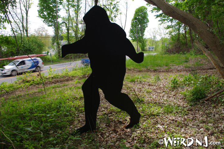 Bigfoot Roams Route 46