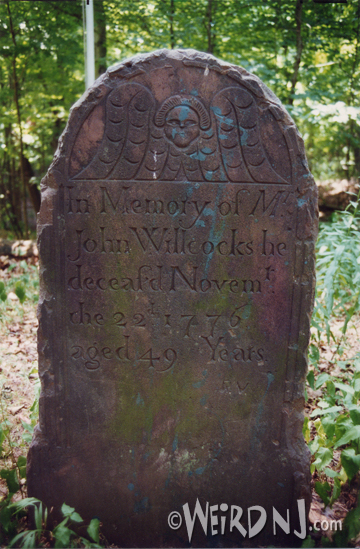 Willcocks Grave