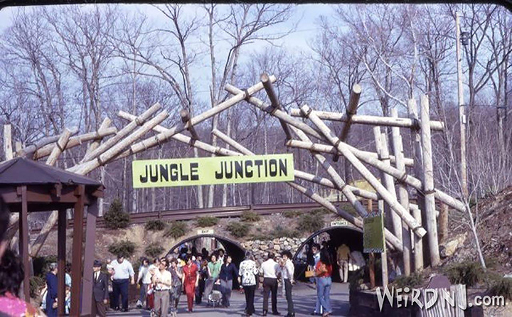 african safari new jersey