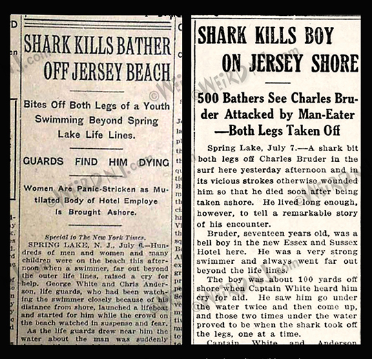 When Jaws attacked the Jersey Shore