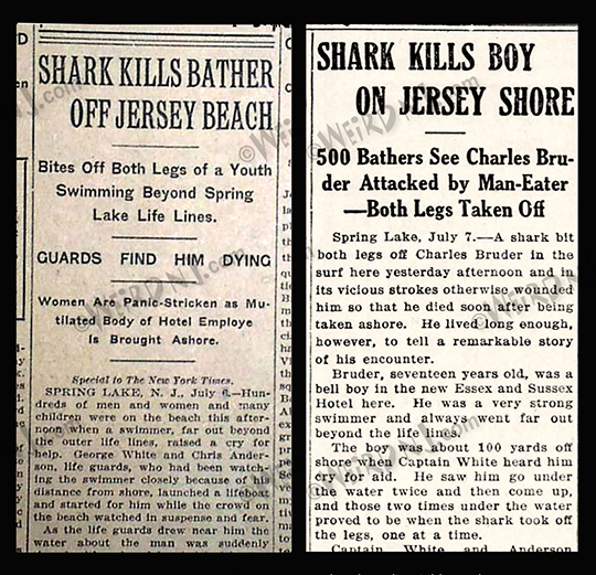 Matawan Man-Eater shark attack in New Jersey kicked off frenzy - The  Washington Post