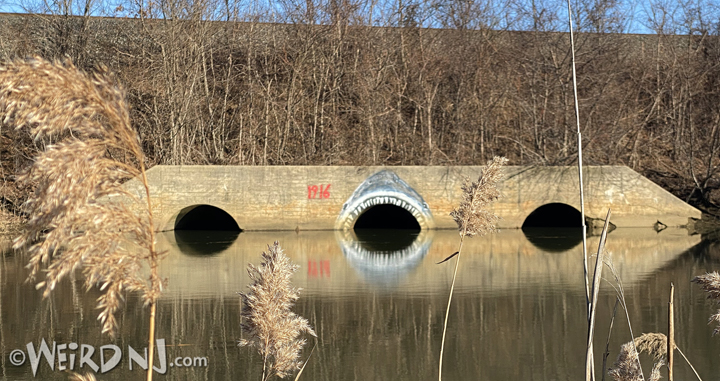 Matawan Creek In New Jersey