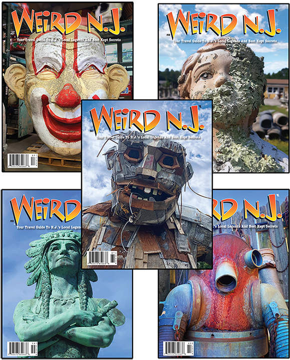 Weird NJ 5-Pack: Our 5 Most Recent Issues for One Low Price