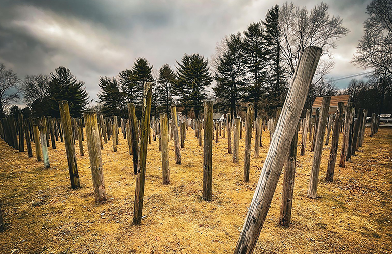 Chester’s Telephone Pole Farm