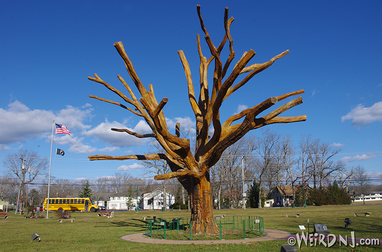 The “Most UNUSUAL Tree in New Jersey”